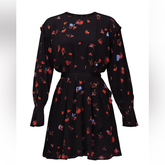 Jason Wu Floral Blouson Dress Size 4 Great Condition - Picture 4 of 10